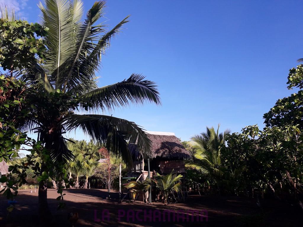 Hostal Pachamama Isla de Canas Zewnętrze zdjęcie
