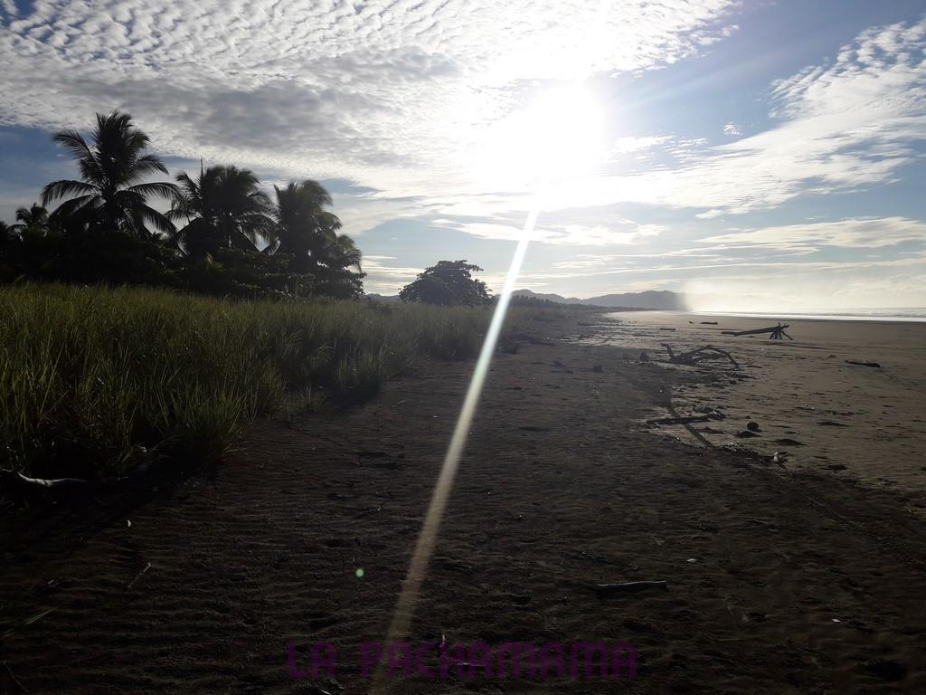 Hostal Pachamama Isla de Canas Zewnętrze zdjęcie
