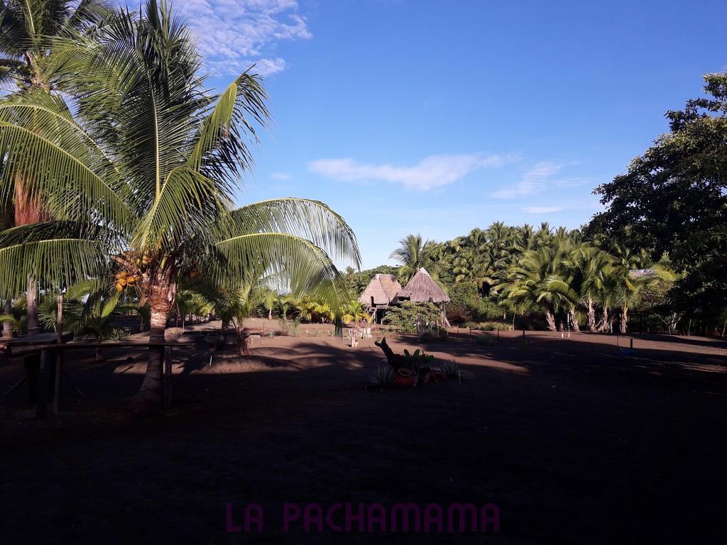 Hostal Pachamama Isla de Canas Zewnętrze zdjęcie