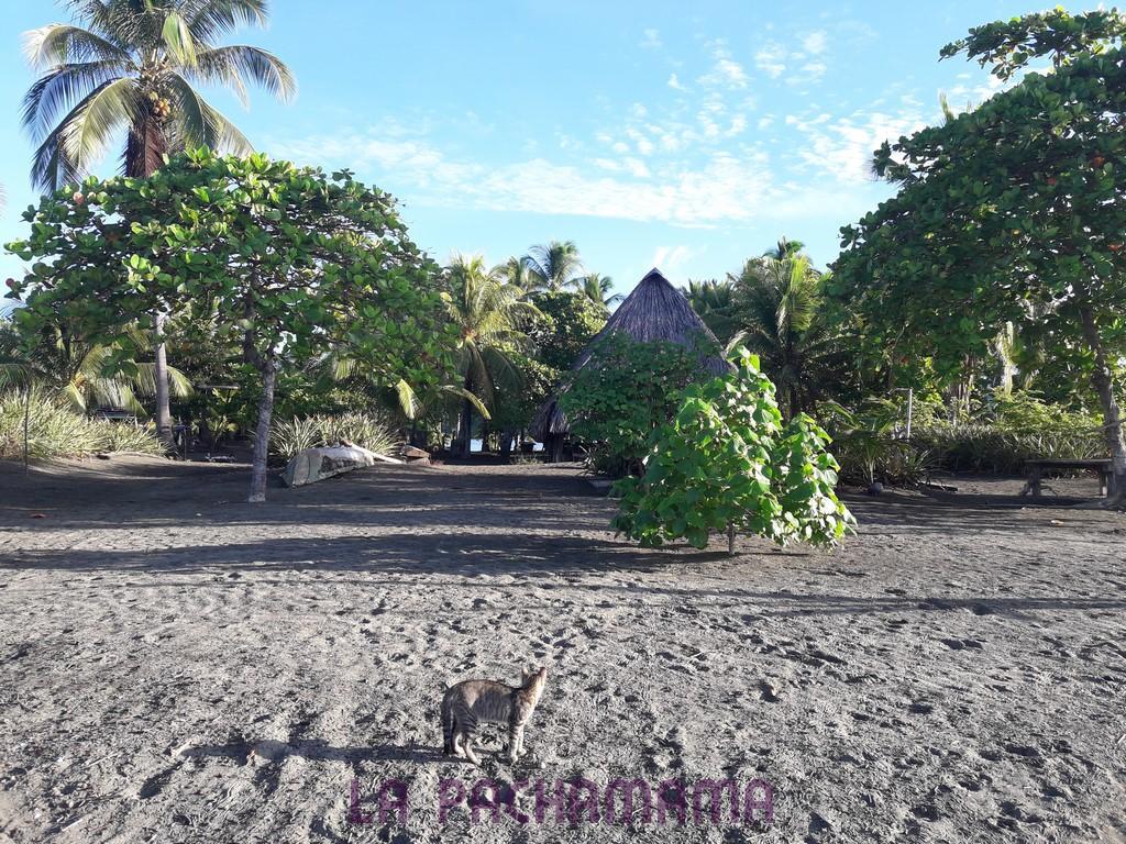 Hostal Pachamama Isla de Canas Zewnętrze zdjęcie