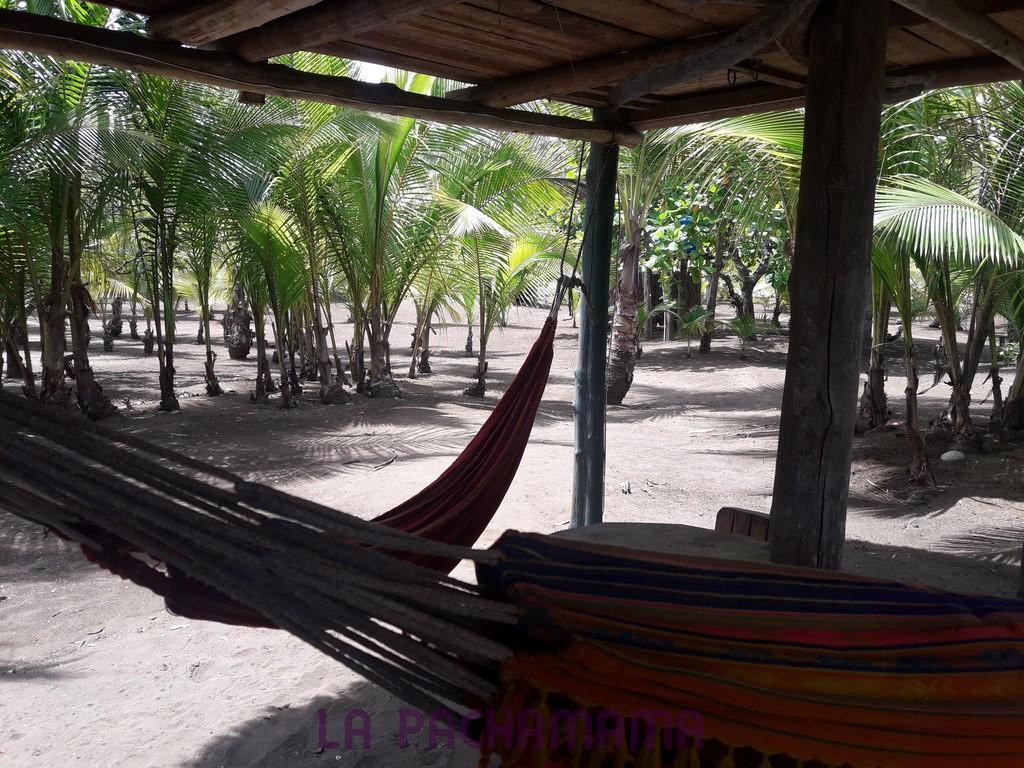 Hostal Pachamama Isla de Canas Zewnętrze zdjęcie