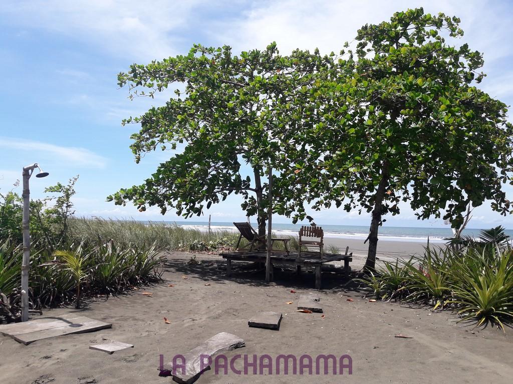 Hostal Pachamama Isla de Canas Zewnętrze zdjęcie