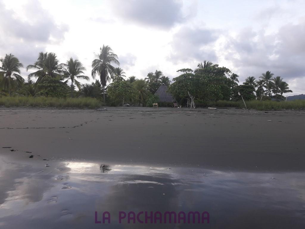 Hostal Pachamama Isla de Canas Zewnętrze zdjęcie