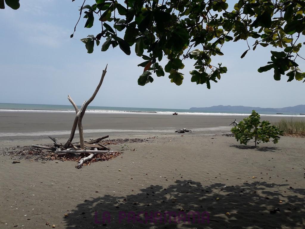 Hostal Pachamama Isla de Canas Zewnętrze zdjęcie