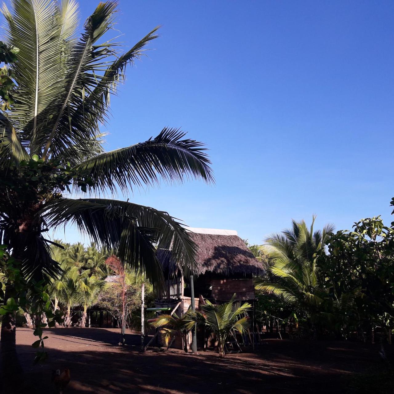 Hostal Pachamama Isla de Canas Zewnętrze zdjęcie